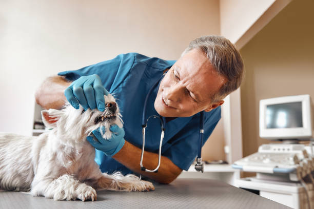 Best 24-Hour Emergency Dentist in Dewey, OK